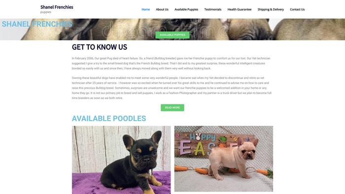 Shanelfrenchies.com - French Bulldog Puppy Scam Review