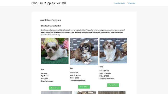 Shihtzupuppiesforsell.xyz - Shihtzu Puppy Scam Review