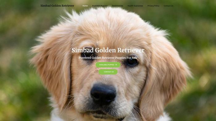 Simbadgoldenretriever.com - Golden Retriever Puppy Scam Review