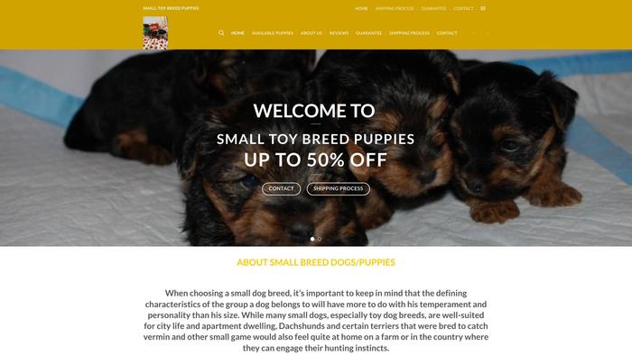 Smalltoybreedpuppies.com - Yorkshire Terrier Puppy Scam Review