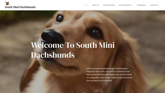 Southminidachshunds.com - Dachshund Puppy Scam Review