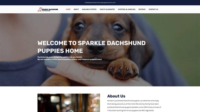 Sparkledachshundpuppieshome.com - Dachshund Puppy Scam Review