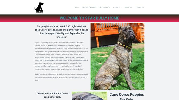 Starbullyhome.com - French Bulldog Puppy Scam Review