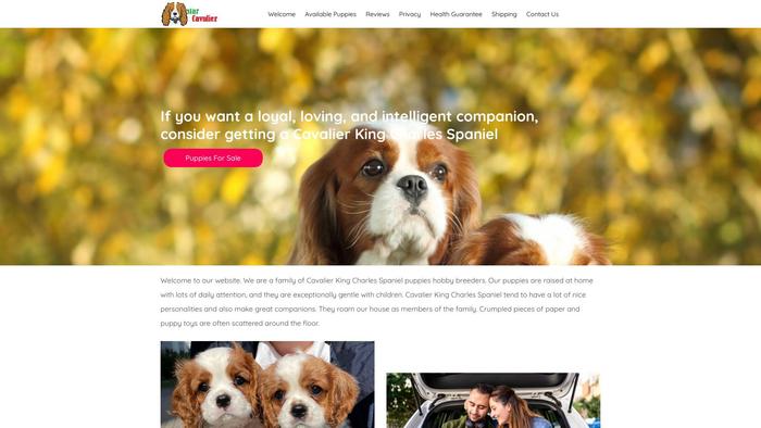 Starcavalierkingcharleshome.com - Cavalier King Charles Spaniel Puppy Scam Review