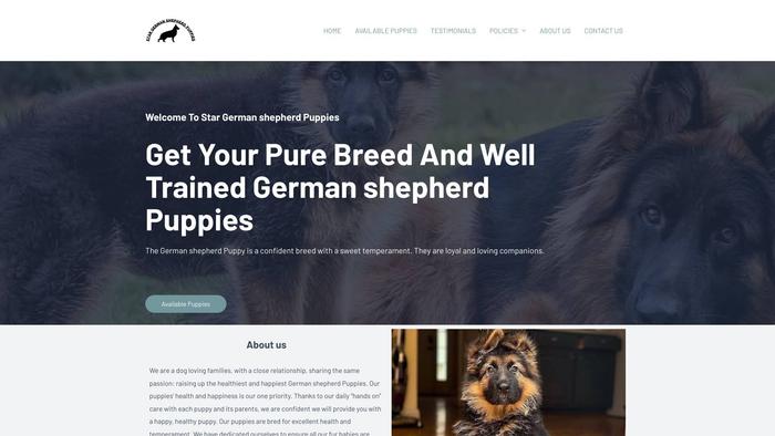 Stargermanshepherd.com - Bernese Mountain Dog Puppy Scam Review