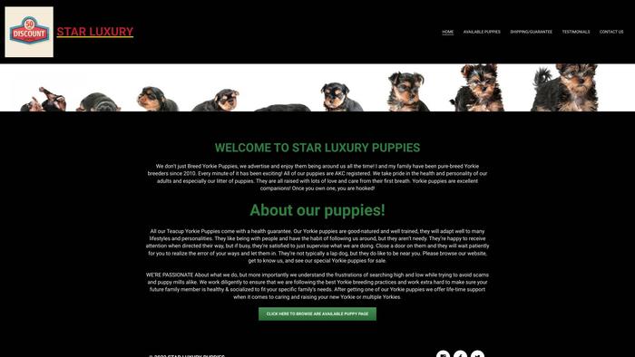 Starluxurypuppies.com - Yorkshire Terrier Puppy Scam Review