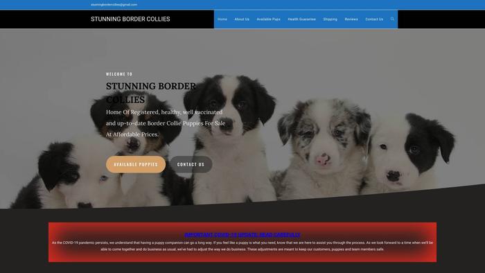 Stunningbordercollies.com - Bordercollie Puppy Scam Review