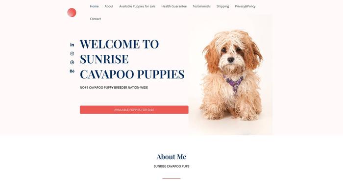 Sunrisecavapoopups.com - Cavapoo Puppy Scam Review