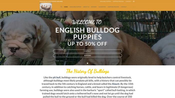 Sunshinebulldogpuppiesavailable.com - Bulldog Puppy Scam Review