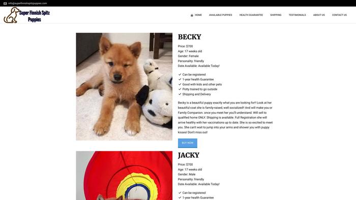 Superfinnishspitzpuppies.com - Japanese Spitz Puppy Scam Review