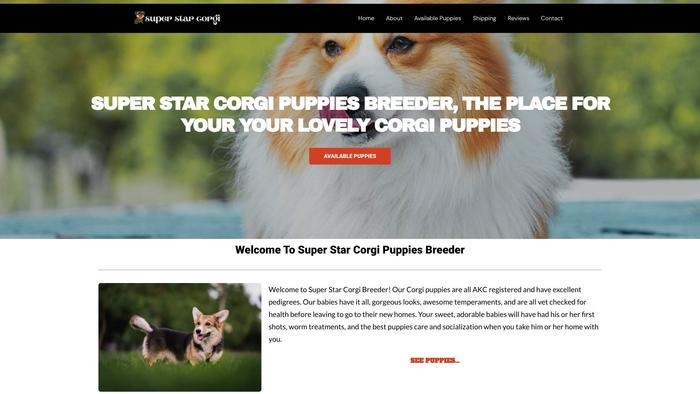 Superstarcorgipuppies.com - Corgi Puppy Scam Review