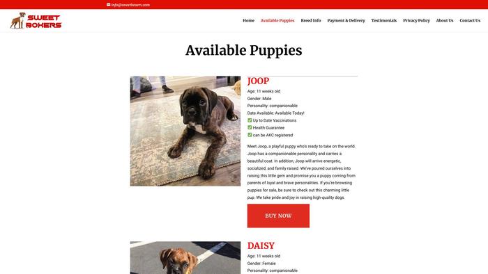 Sweetboxers.com - Boxer Puppy Scam Review