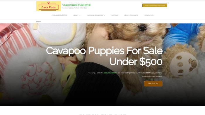 Teacupcavapoopuppiess.com - Cavapoo Puppy Scam Review