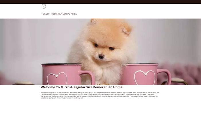 Teacuppomeranianpups.com - Pomeranian Puppy Scam Review