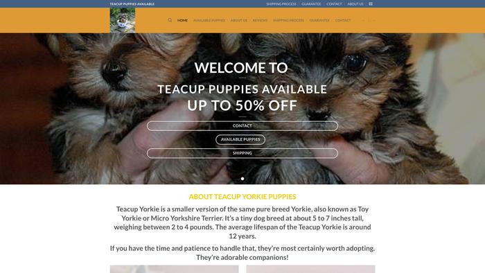 Teacuppuppiesavailable.com - Yorkshire Terrier Puppy Scam Review