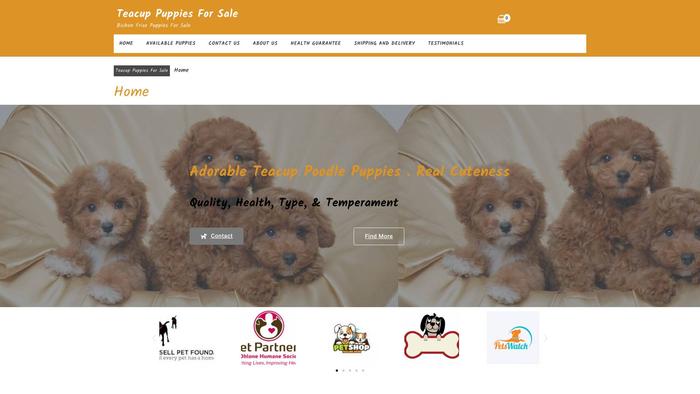 Teacuptoypuppies.com - Yorkshire Terrier Puppy Scam Review