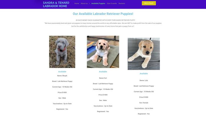 Tenardakennels.com - Labrador Puppy Scam Review