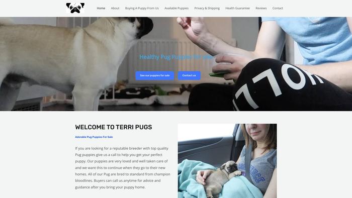 Terripugs.com - Pug Puppy Scam Review