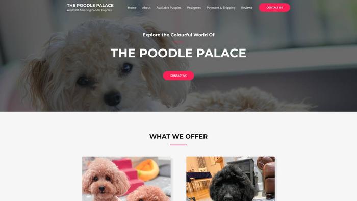 Thepoodlepallace.com - Poodle Puppy Scam Review