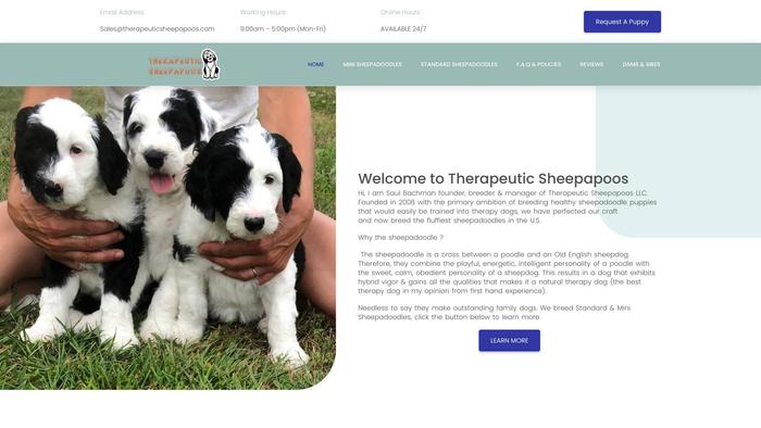 Therapeuticsheepapoos.com - Labrador Puppy Scam Review