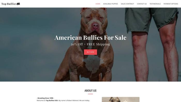 Topbullies.us - English Bulldog Puppy Scam Review