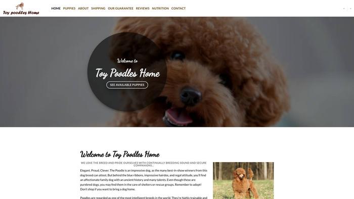 Toypoodleshome.com - Poodle Puppy Scam Review