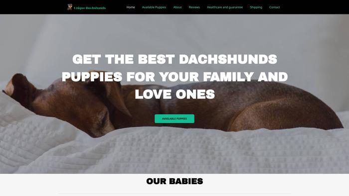 Uniquedachshunds.com - Dachshund Puppy Scam Review