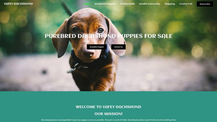 Vafeydachshund.com - Dachshund Puppy Scam Review