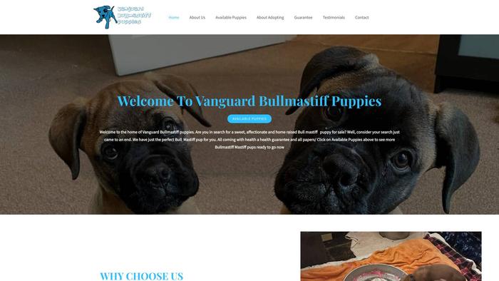 Vanguardbullmastiffpuppies.com - Bull Mastiff Puppy Scam Review