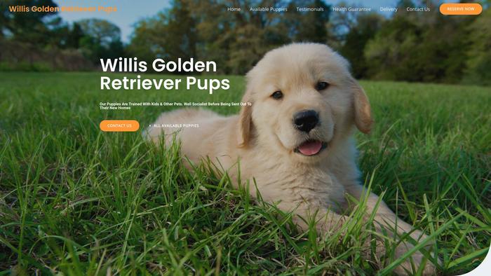 Willisgoldenretrieverpups.com - Golden Retriever Puppy Scam Review