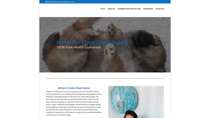 Wilsonschowchowpuppieshome.com - Chowchow Puppy Scam Review