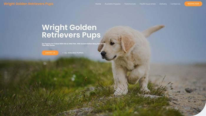 Wrightgoldenretrieverspups.com - Golden Retriever Puppy Scam Review