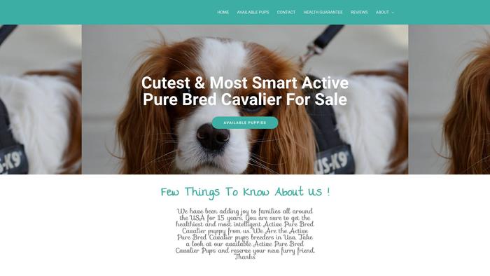 Activepurebredcavaliers.com - Cavalier King Charles Spaniel Puppy Scam Review