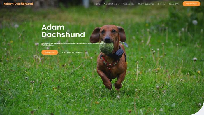 Adamsdachshund.com - Dachshund Puppy Scam Review