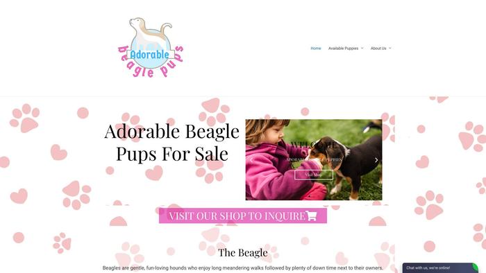 Adorablebeaglepuppies.com - Beagle Puppy Scam Review