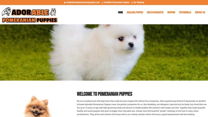 Adorablepomeranianpuppies.com - Pomeranian Puppy Scam Review