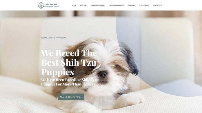 Adorableshihtzupuppieshome.com - Shihtzu Puppy Scam Review