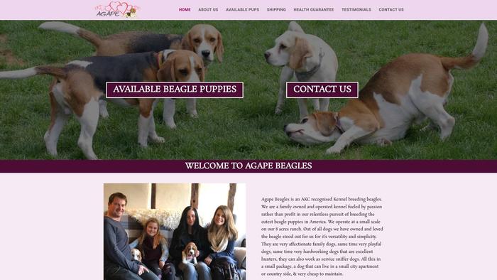 Agapebeagles.com - Beagle Puppy Scam Review