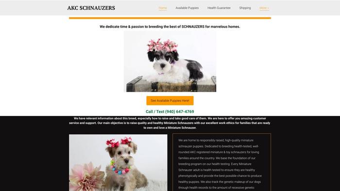 Akcschnauzers.online - Schnauzer Puppy Scam Review