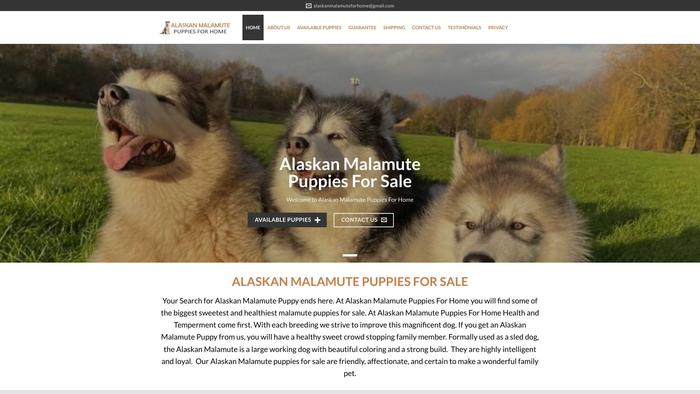 Alaskanmalamutepuppiesforhome.com - Malamute Puppy Scam Review