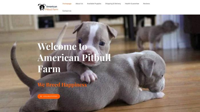 Americanpitbullfarms.com - Pit Bull Puppy Scam Review