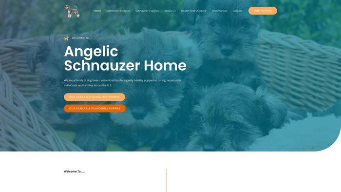 Angelicschnauzerhome.com - Schnauzer Puppy Scam Review