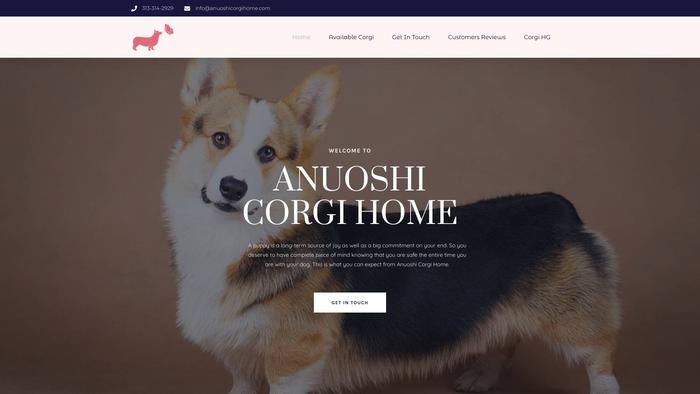 Anuoshicorgihome.com - Corgi Puppy Scam Review