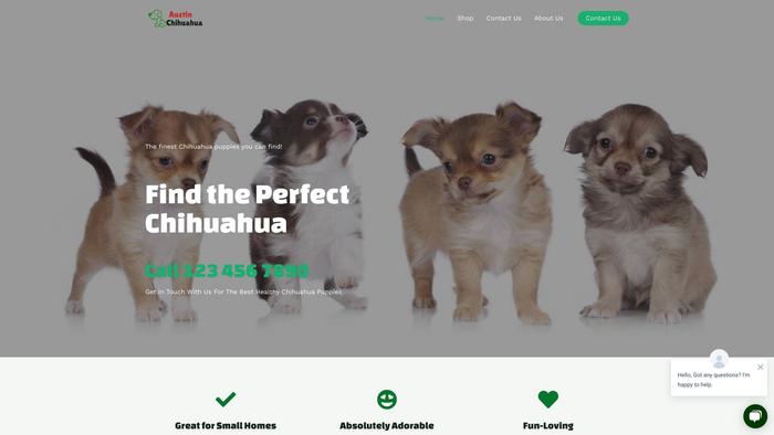 Austinchihuahuapuppies.com - Chihuahua Puppy Scam Review