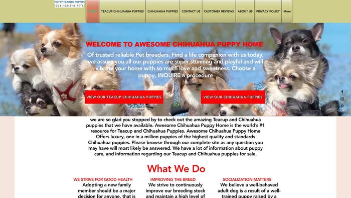 Awesomechihuahuapuppyhome.com - Chihuahua Puppy Scam Review