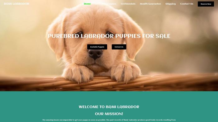 Bamilabrador.com - Labrador Puppy Scam Review