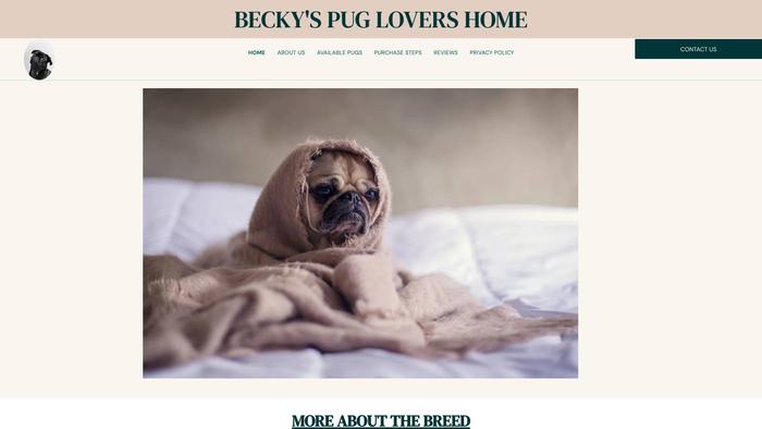 Beckypugshome.com - Pug Puppy Scam Review