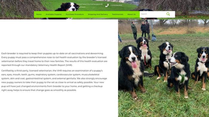 Benesemountainpuppies.com - Bernese Mountain Dog Puppy Scam Review