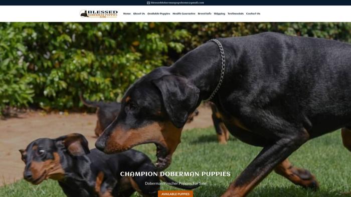 Blesseddobermanpupshome.com - Doberman Pinscher Puppy Scam Review