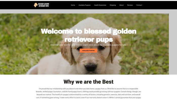 Blessedgoldenretrieverpups.com - Golden Retriever Puppy Scam Review